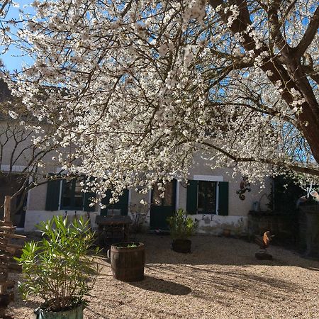 Le Cottage Des Sablons Pres Du Zoo De Beauval Saint-Romain-sur-Cher Εξωτερικό φωτογραφία