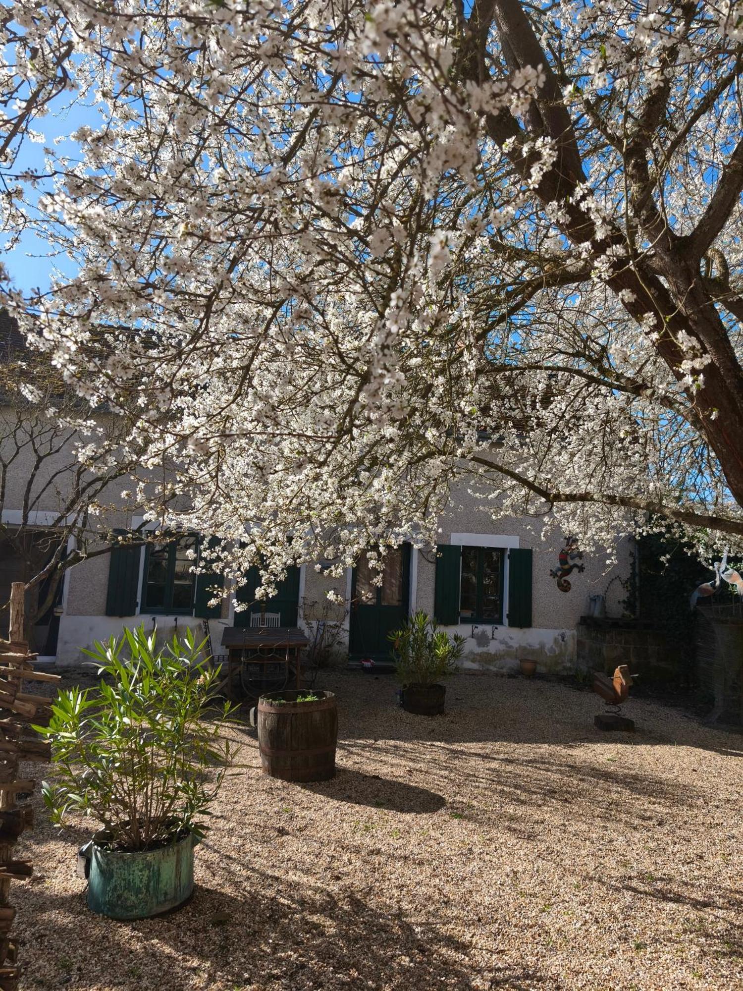 Le Cottage Des Sablons Pres Du Zoo De Beauval Saint-Romain-sur-Cher Εξωτερικό φωτογραφία